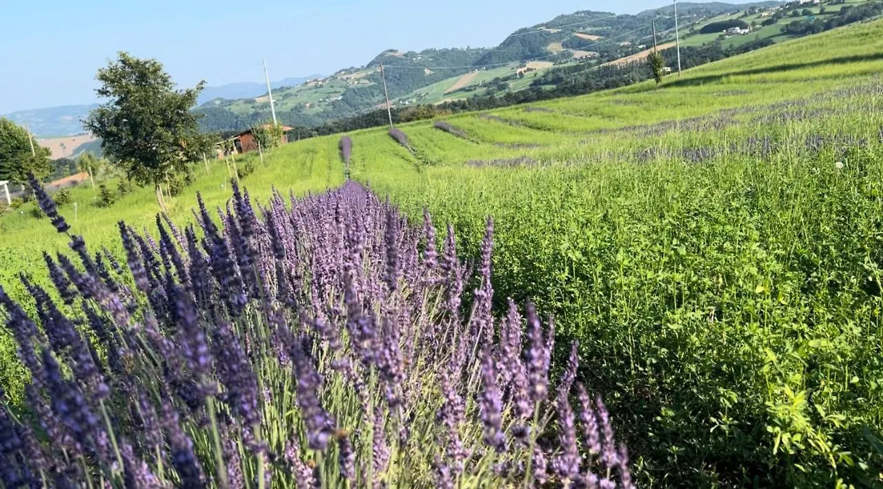 La Baita Nei Boschi Villa Serramazzoni Italy